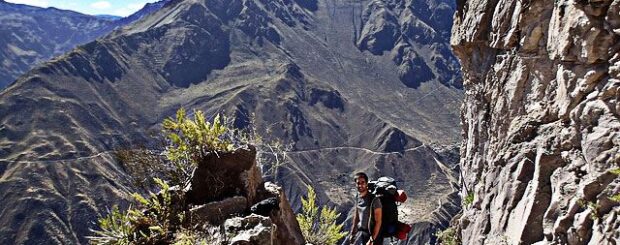 Arequipa Tours Colca Canyon