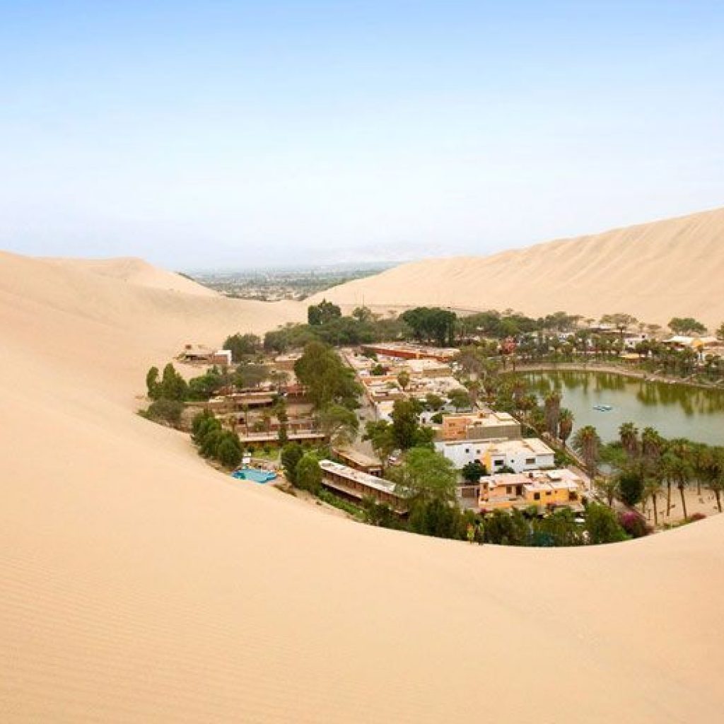 Paracas Ica Shore Excursions