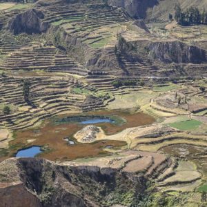 Arequipa Tours Colca Canyon