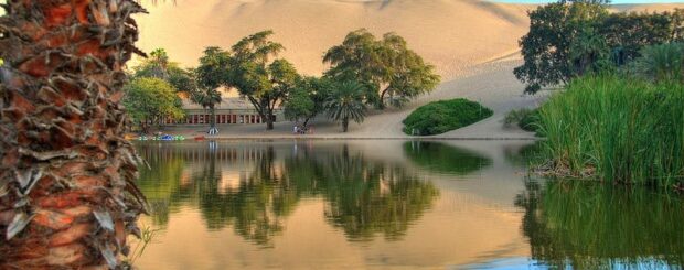 Pisco Tour and Huacachina