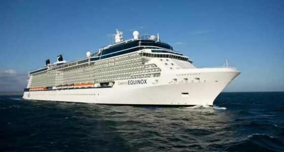 Shore Excursions in Paracas
