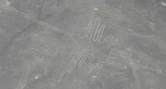 Tour Nazca Ica Paracas desde Arequipa