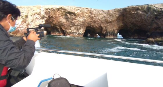 Viaje Paracas Ica Nazca