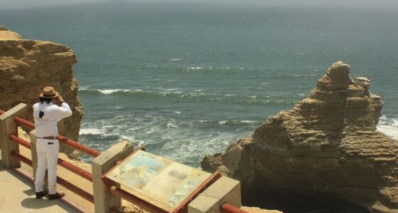 Paracas Ica Huacachina