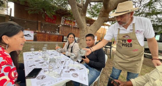 Tour del Pisco en Pisco