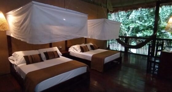 Peruvian Amazon Tours