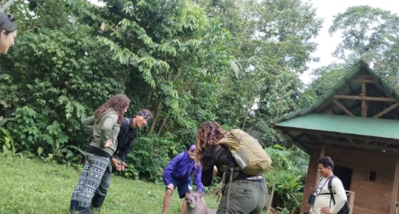 Peruvian Amazon Tours