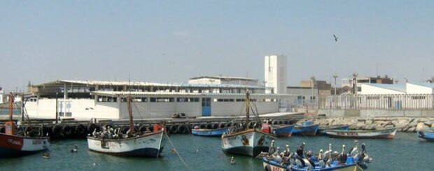 Shore Tours Downtown Pisco