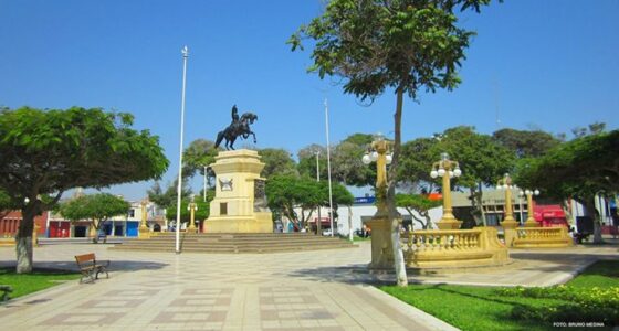 Shore Tours Downtown Pisco