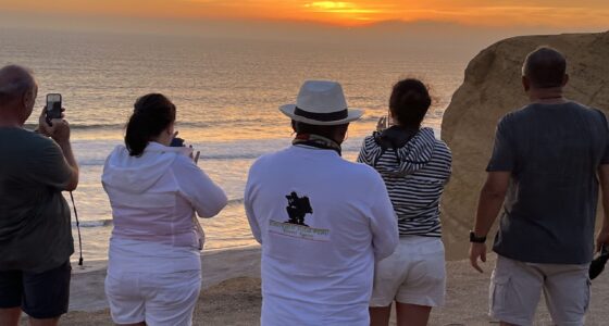 Tour Especial Paracas Peninsula
