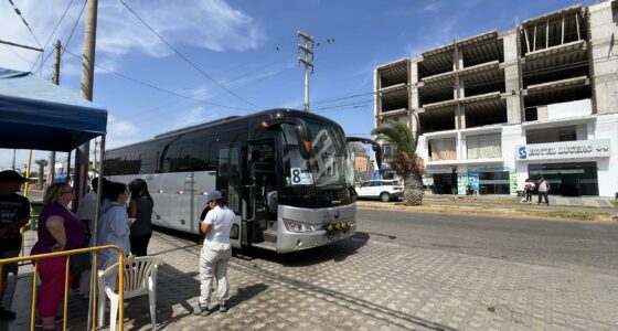 Shore Tours for Cruises