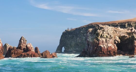 Paracas Full Day desde Lima