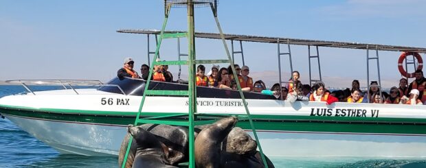 Paracas Full Day desde Lima
